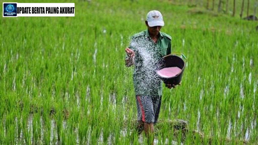 Intip Strategi Pria Ini Sukses Jadi Juragan Sawah