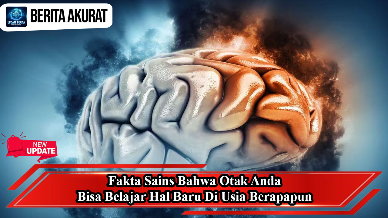 Fakta Sains Bahwa Otak Anda Bisa Belajar Hal Baru Di Usia Berapapun