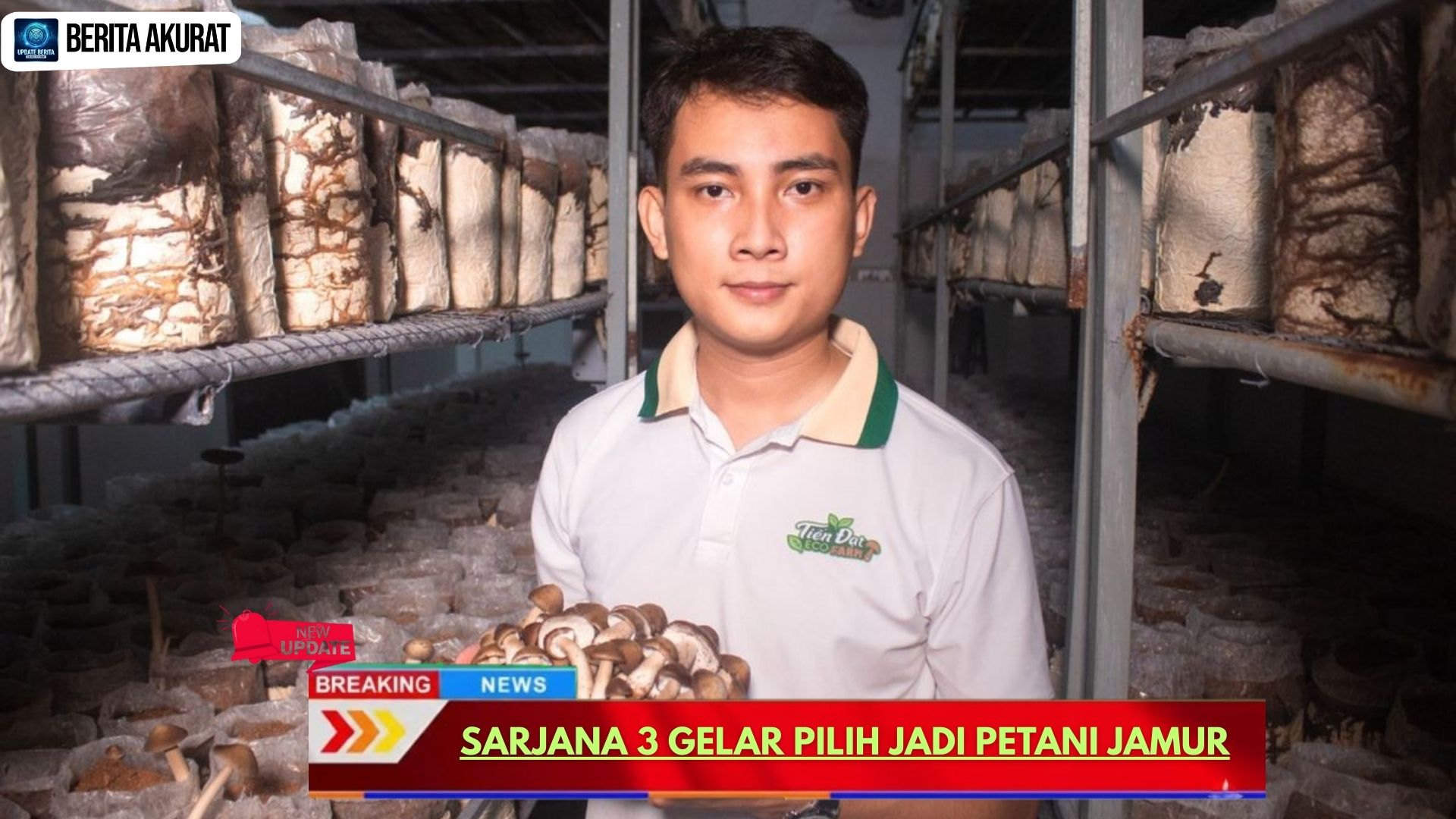Sarjana 3 Gelar Pilih Jadi Petani Jamur