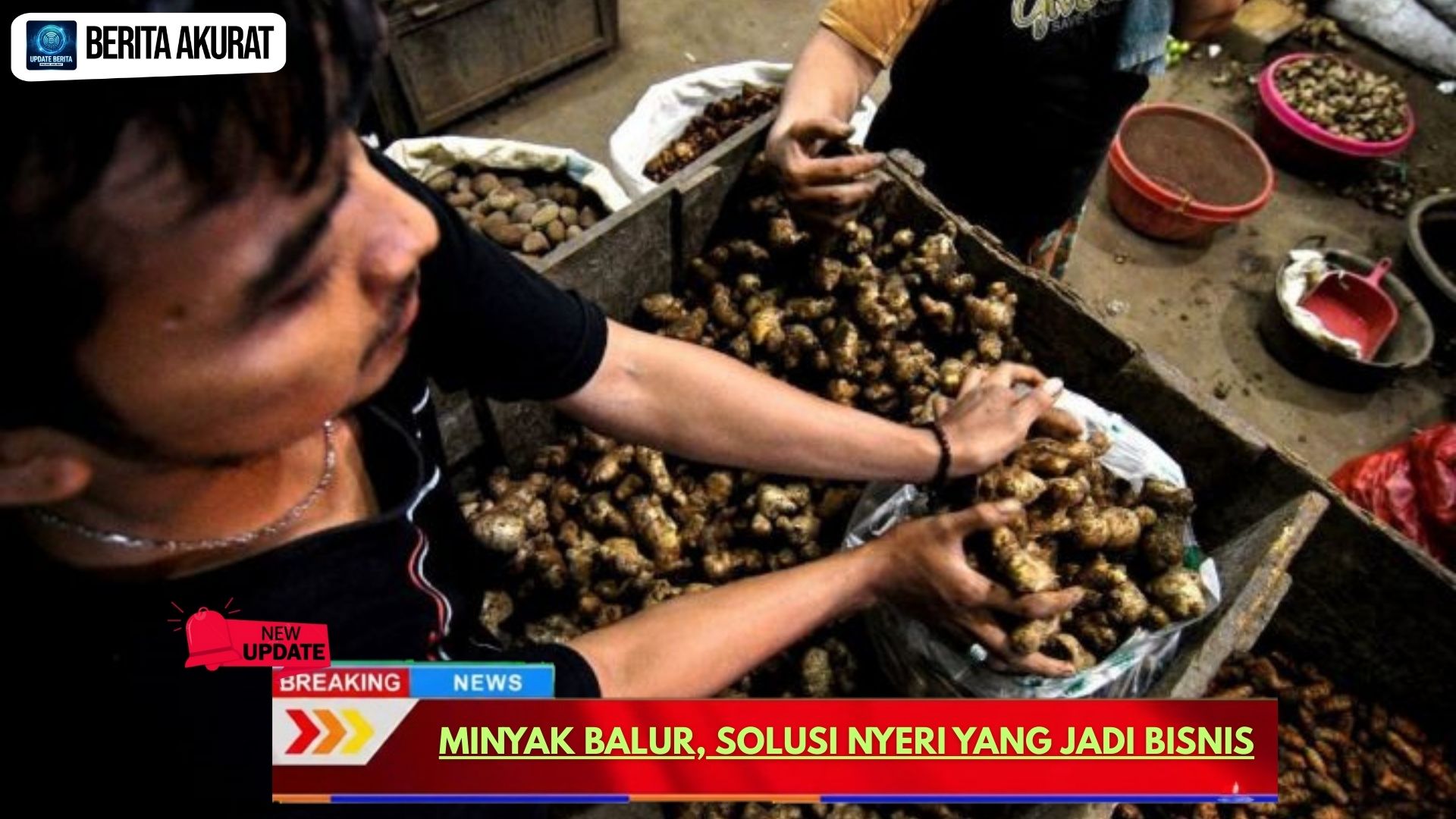 Minyak Balur, Solusi Nyeri yang Jadi Bisnis