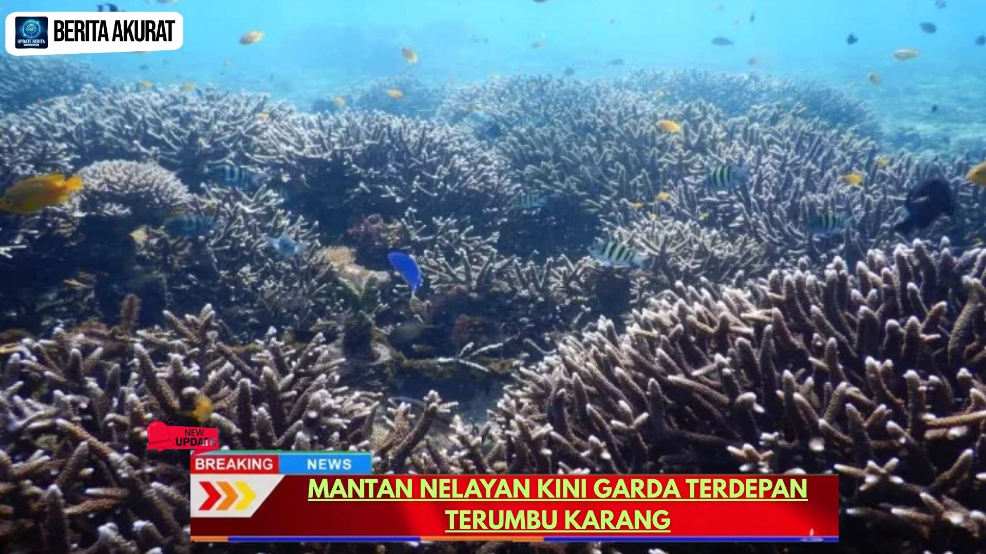 Mantan Nelayan Kini Garda Terdepan Terumbu Karang