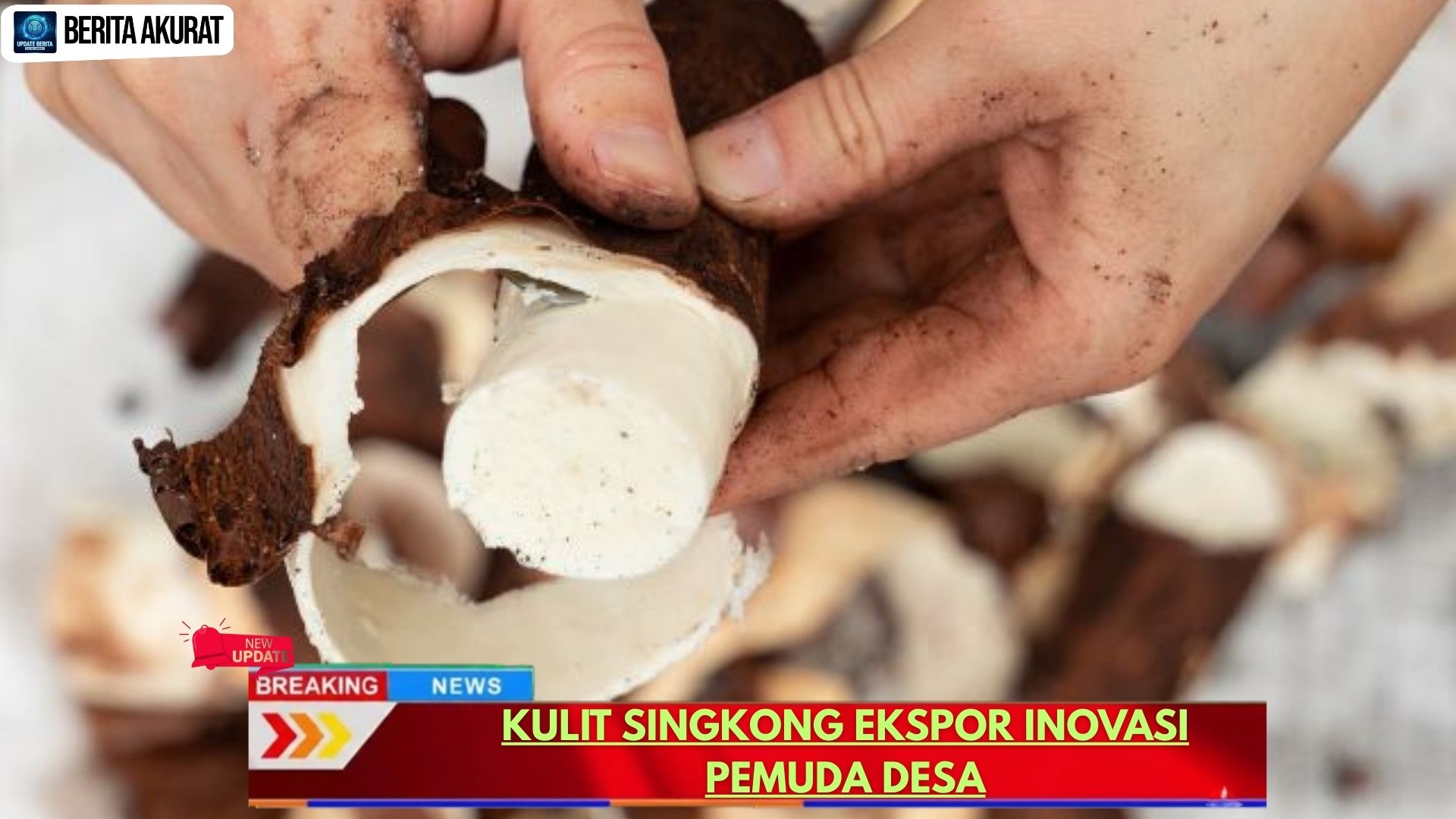 Kulit Singkong Ekspor Inovasi Pemuda Desa