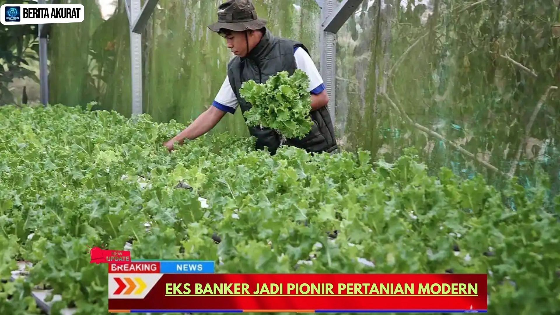 Eks Banker Jadi Pionir Pertanian Modern