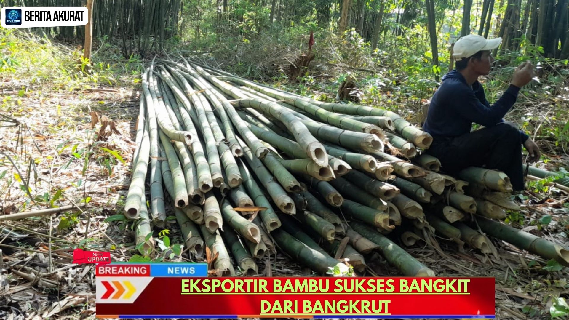 Eksportir Bambu Sukses Bangkit dari Bangkrut