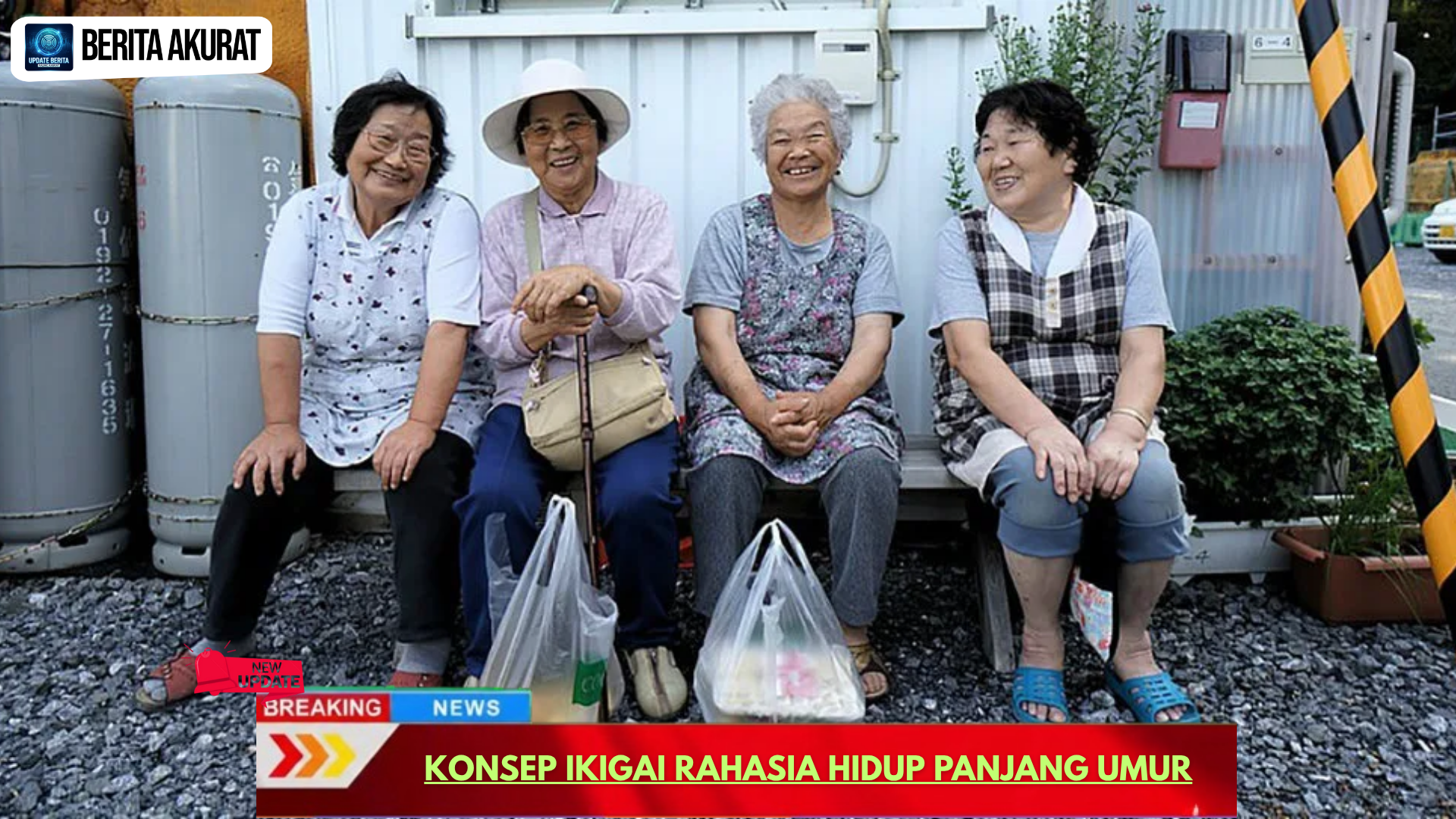 Konsep Ikigai Rahasia Hidup Panjang Umur